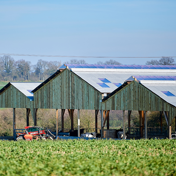 Chabrun-batiment-agricole-10